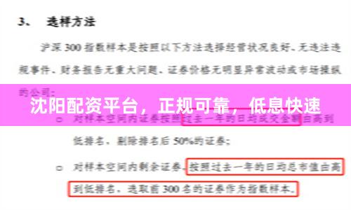 沈阳配资平台,正规可靠,低息快速